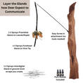 Load image into Gallery viewer, BuckVine w/ 3 Pack of Glands

