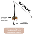 Load image into Gallery viewer, BuckVine w/ 3 Pack of Glands
